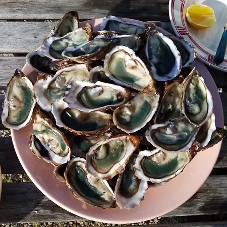 Country Home, Proche Benon Et La Rochelle Semesterbostad *