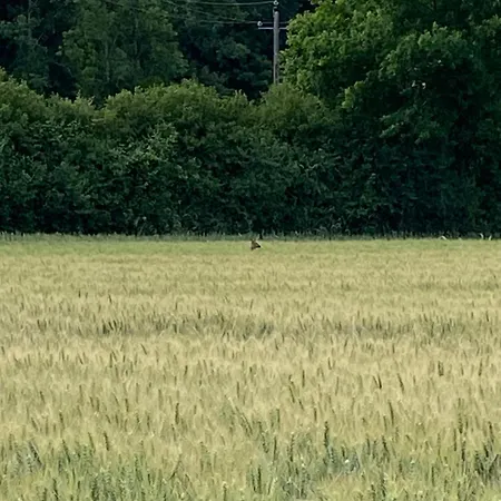 Nyaraló Country Home, Proche Benon Et La Rochelle Saint-Georges-du-Bois